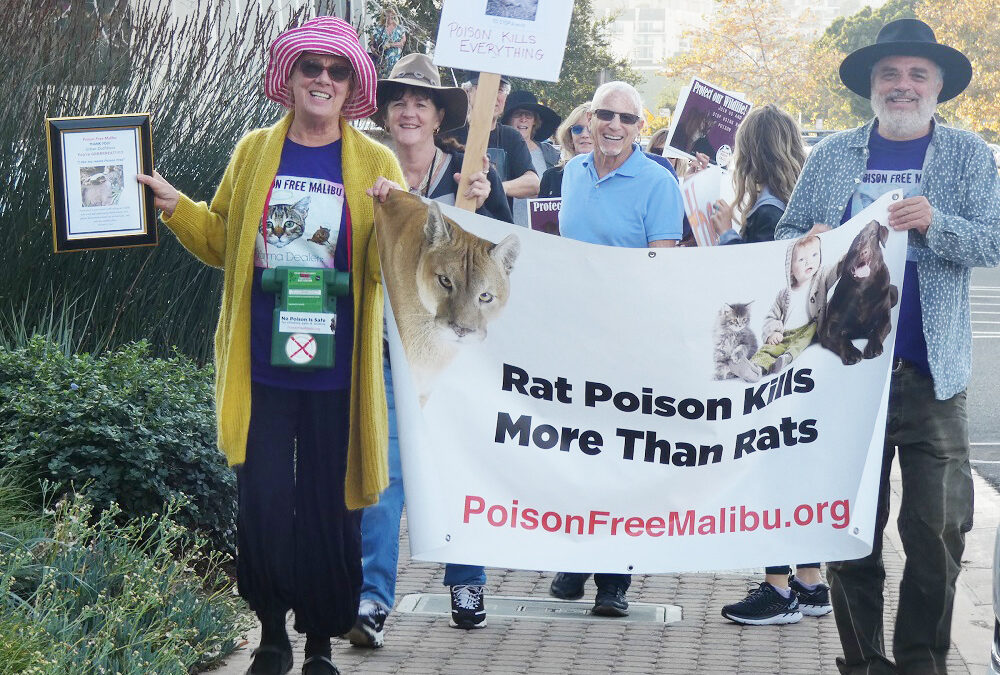 Malibu Poison Ban