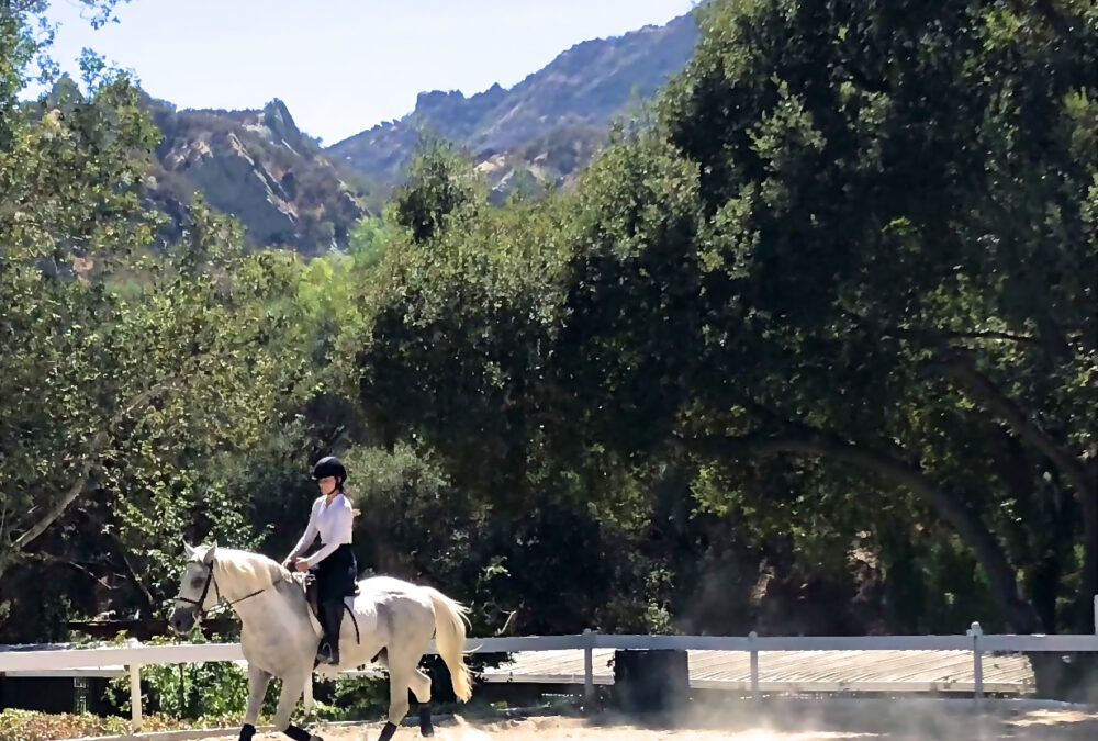 Saddle Up! Or Learn How to at Topanga Canyon’s Westside Riding School