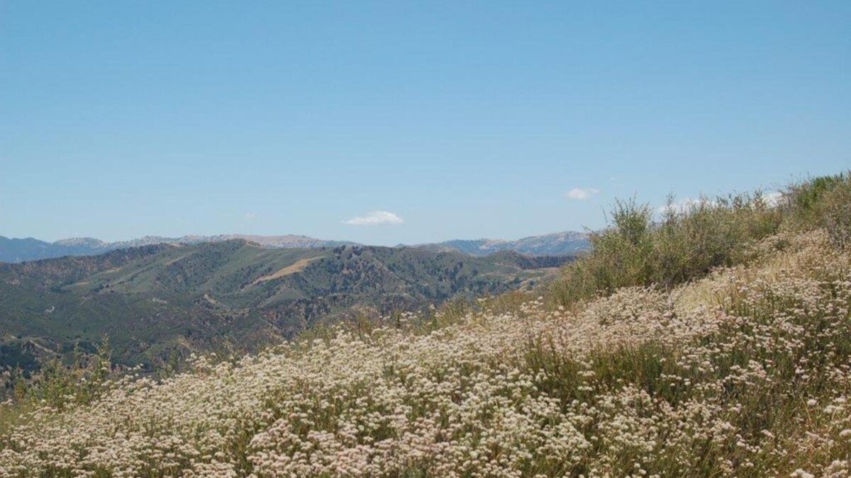 Major New Open Space Acquired in LA County