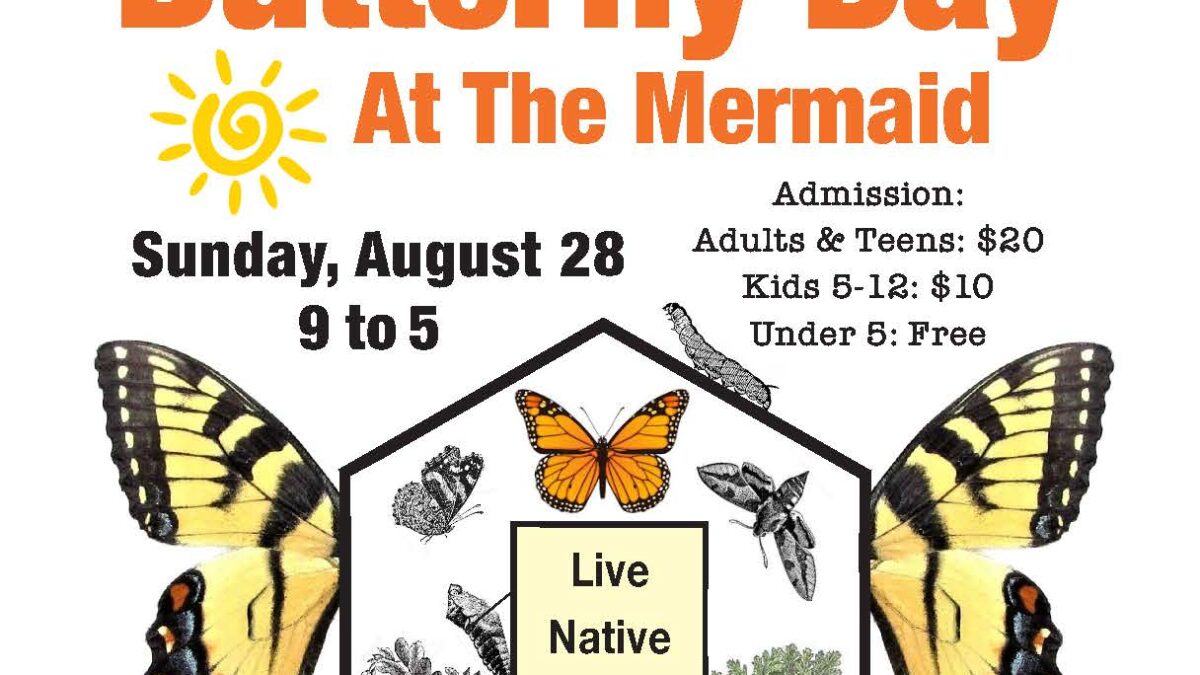 Butterfly Day at the Mountain Mermaid in Topanga