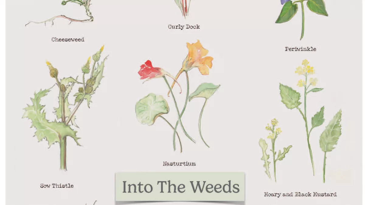 Into The Weeds