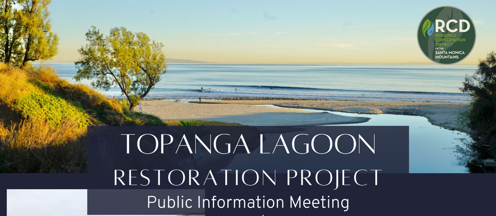 Topanga Lagoon Restoration Project