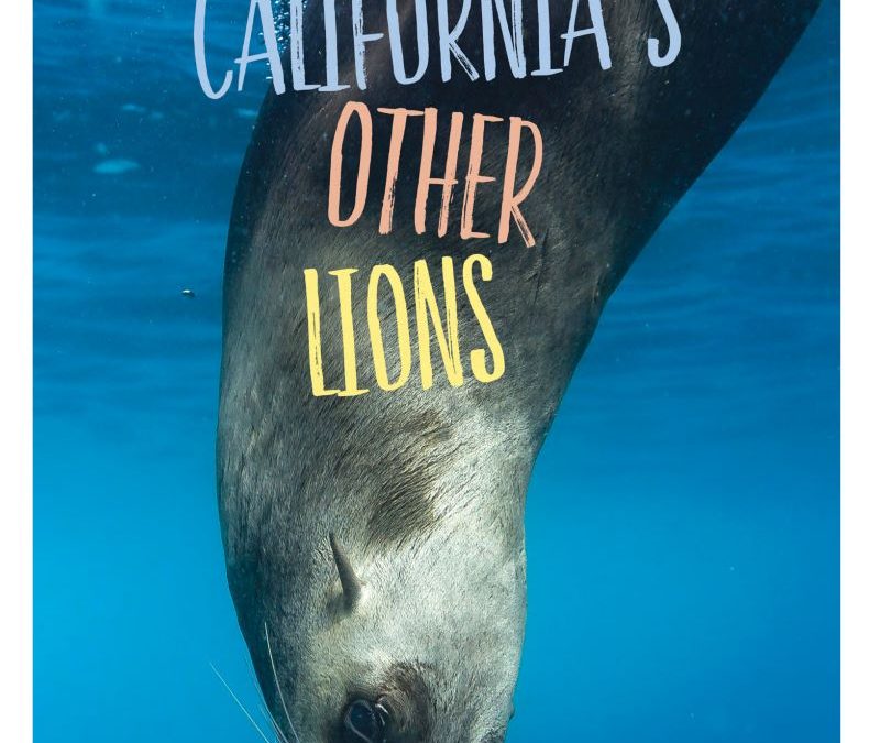 California’s Other Lions